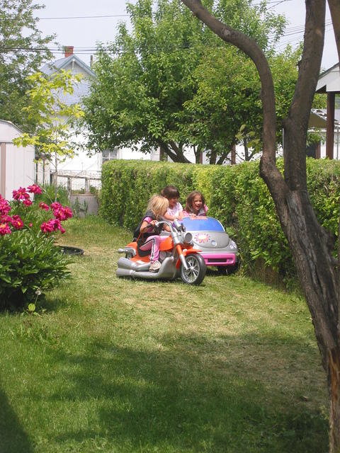 Carrie, Bobbi, and Isabelle driving.