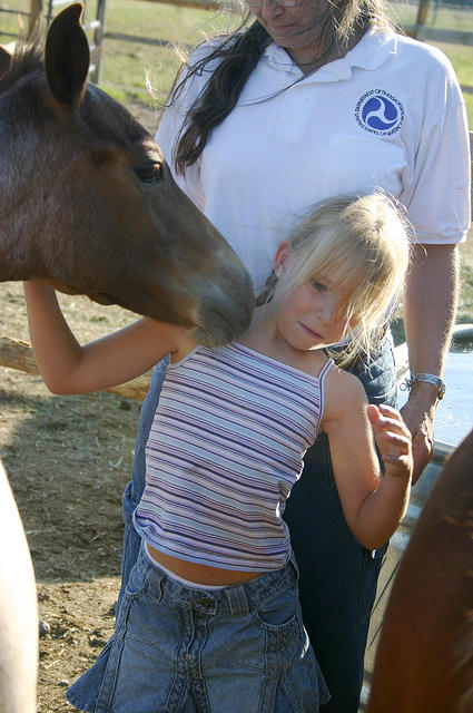 The colts liked Carrie a lot.