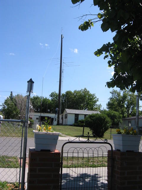 Mister Ed, who lives across the street's radio tower.