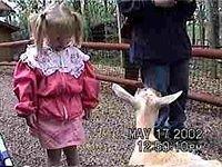 Carrie's watching the goat - 5/17/02