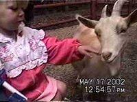 Carrie petting a goat - 5/17/02