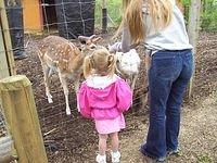 Carrie and Paige feeding deer