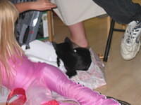 Carrie discovered that Rio likes wrapping paper and ribbons. 10/5/03