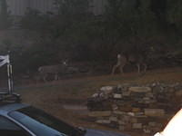I'll fix this picture later.  We all got distracted by the deer walking around outside... 9/12/03