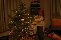 Carrie putting ornaments on the tree.