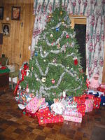 The Christmas tree again.