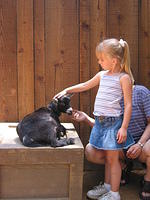 Carrie petting a baby goat.