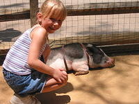Carrie and a pig.