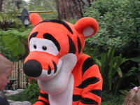Tigger in Critter Country