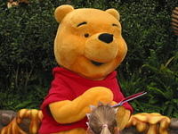 Winnie the Pooh in Critter Country