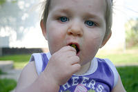 Joleigh eating a dandelion