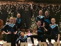 Level 6 - 5th Place - 2015 Great West Gym Fest